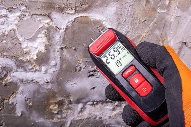 Best Mold Removal Company Near Me  in Marrero, LA